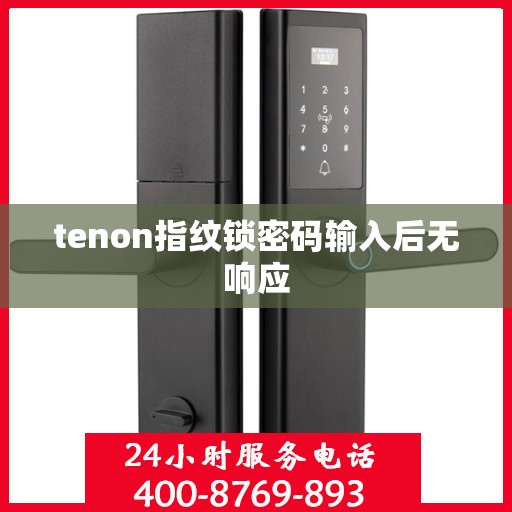 tenon指纹锁密码输入后无响应