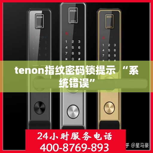 tenon指纹密码锁提示 “系统错误”