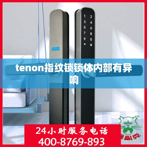 tenon指纹锁锁体内部有异响
