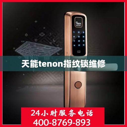 天能tenon指纹锁维修