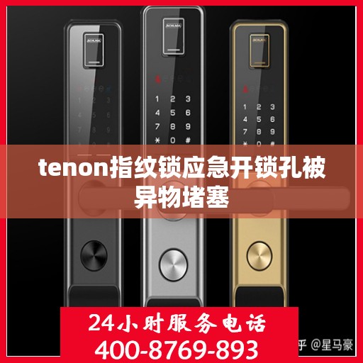 tenon指纹锁应急开锁孔被异物堵塞