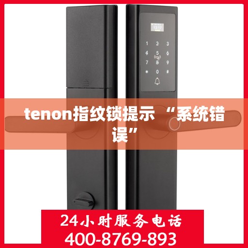 tenon指纹锁提示 “系统错误”
