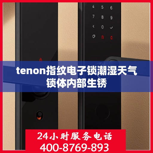 tenon指纹电子锁潮湿天气锁体内部生锈