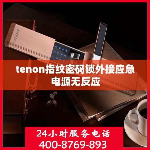 tenon指纹密码锁外接应急电源无反应
