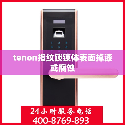 tenon指纹锁锁体表面掉漆或腐蚀