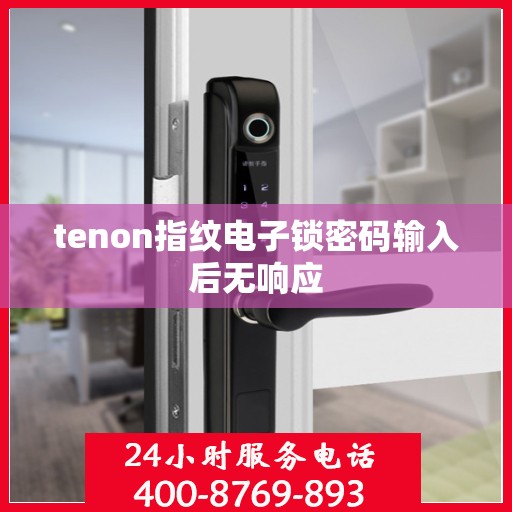 tenon指纹电子锁密码输入后无响应