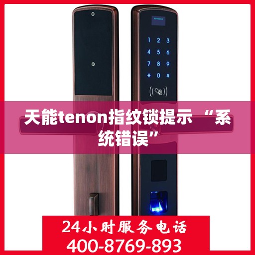 天能tenon指纹锁提示 “系统错误”