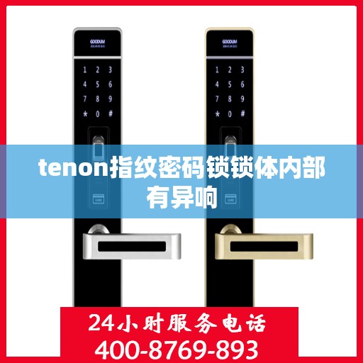 tenon指纹密码锁锁体内部有异响