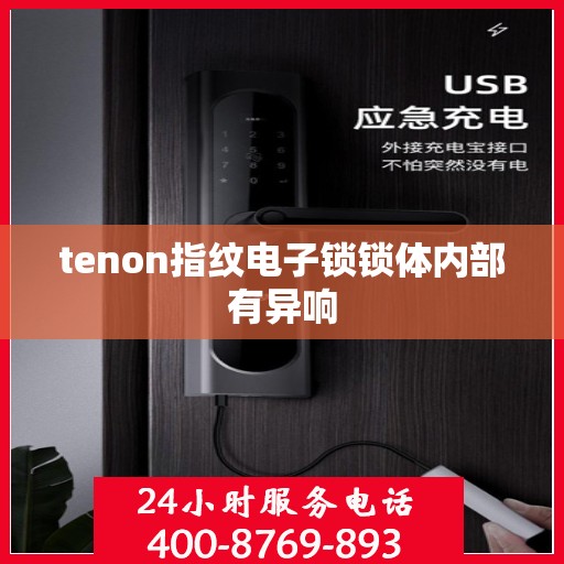 tenon指纹电子锁锁体内部有异响