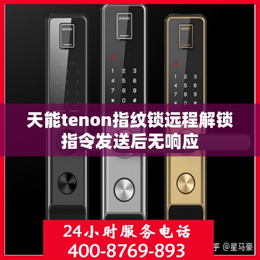 天能tenon指纹锁远程解锁指令发送后无响应
