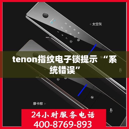 tenon指纹电子锁提示 “系统错误”