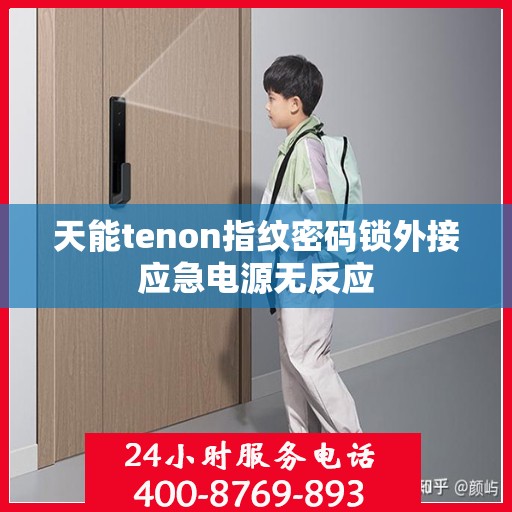 天能tenon指纹密码锁外接应急电源无反应