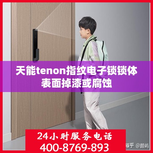天能tenon指纹电子锁锁体表面掉漆或腐蚀