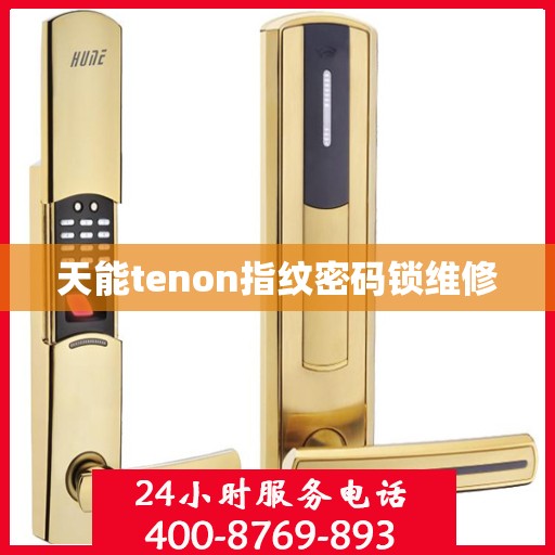 天能tenon指纹密码锁维修