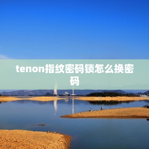 tenon指纹密码锁怎么换密码