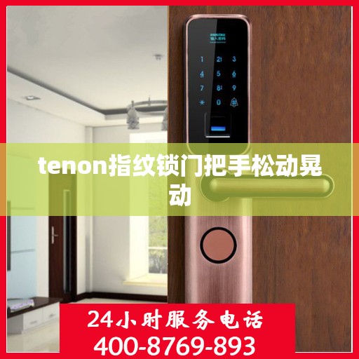 tenon指纹锁门把手松动晃动