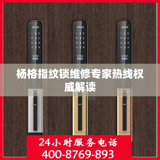 杨格指纹锁维修专家热线权威解读