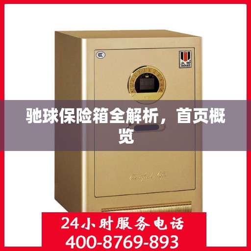 驰球保险箱全解析，首页概览
