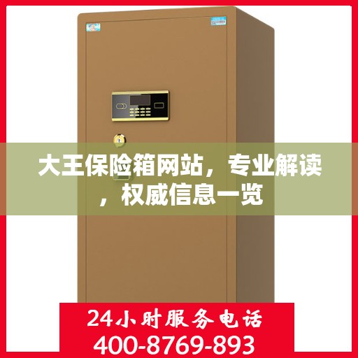 大王保险箱网站，专业解读，权威信息一览