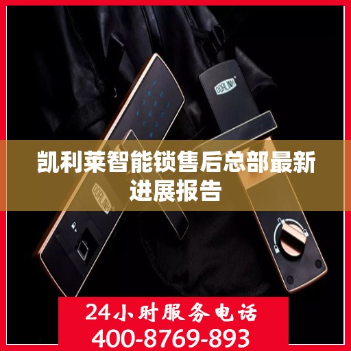 凯利莱智能锁售后总部最新进展报告