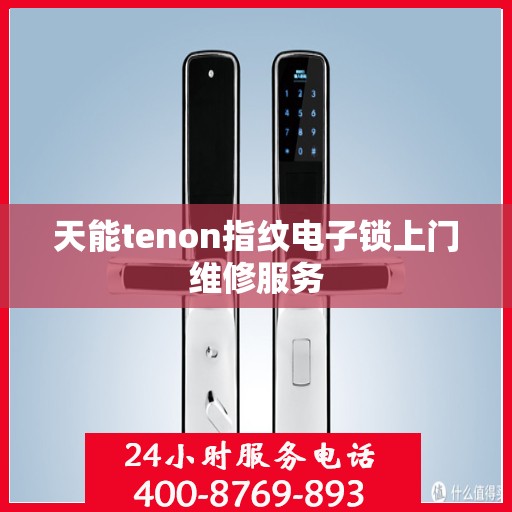 天能tenon指纹电子锁上门维修服务