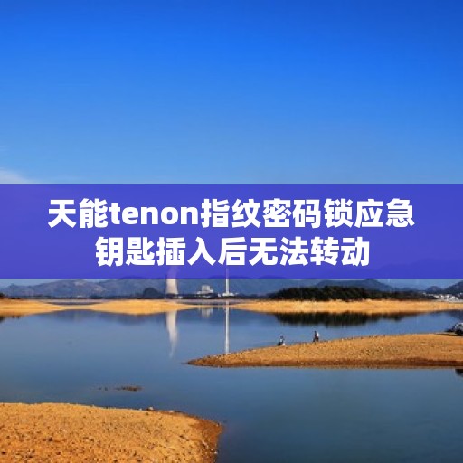天能tenon指纹密码锁应急钥匙插入后无法转动