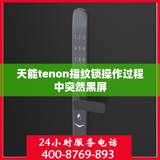 天能tenon指纹锁操作过程中突然黑屏
