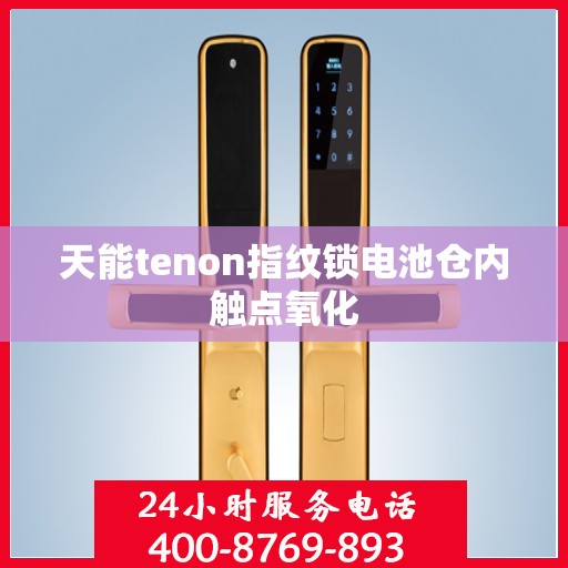 天能tenon指纹锁电池仓内触点氧化