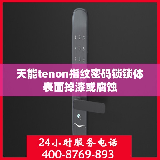 天能tenon指纹密码锁锁体表面掉漆或腐蚀