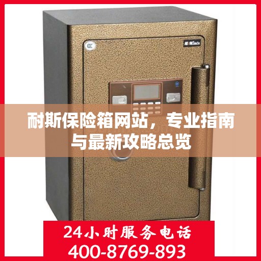 耐斯保险箱网站，专业指南与最新攻略总览