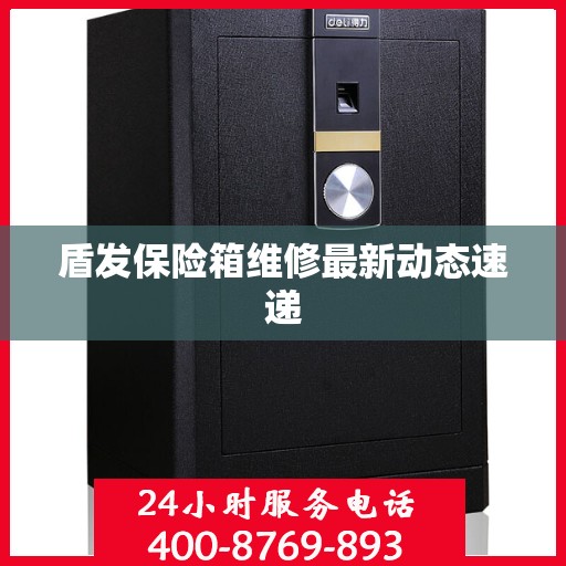 盾发保险箱维修最新动态速递