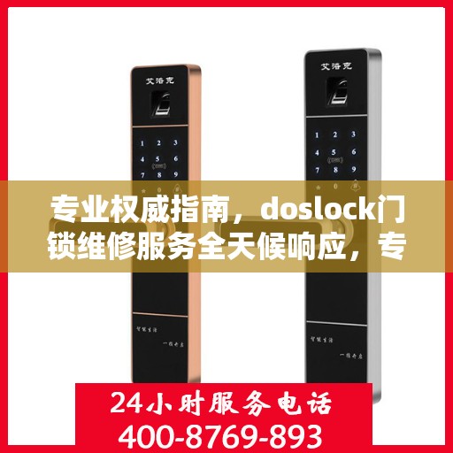 专业权威指南，doslock门锁维修服务全天候响应，专业维修团队为您排忧解难