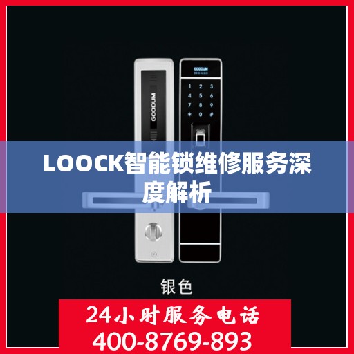 LOOCK智能锁维修服务深度解析