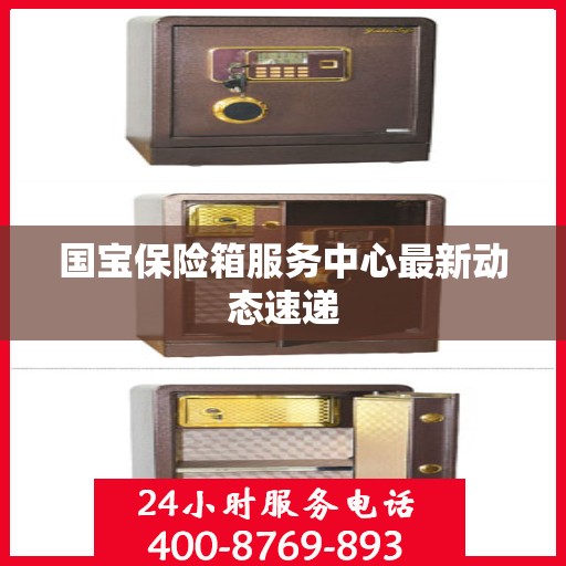 国宝保险箱服务中心最新动态速递