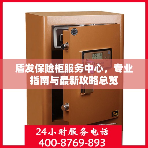 盾发保险柜服务中心，专业指南与最新攻略总览