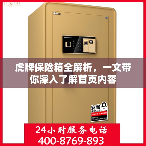 虎牌保险箱全解析，一文带你深入了解首页内容