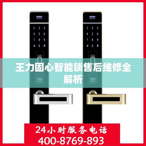 王力固心智能锁售后维修全解析