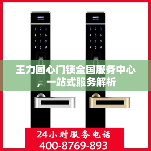 王力固心门锁全国服务中心，一站式服务解析