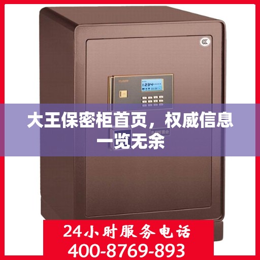 大王保密柜首页，权威信息一览无余