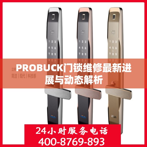 PROBUCK门锁维修最新进展与动态解析