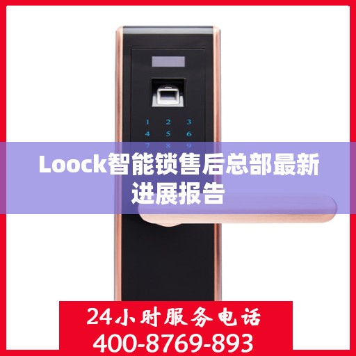 Loock智能锁售后总部最新进展报告