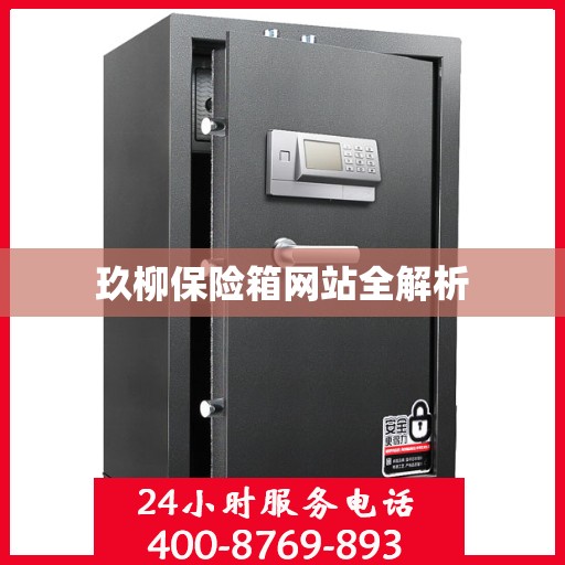玖柳保险箱网站全解析