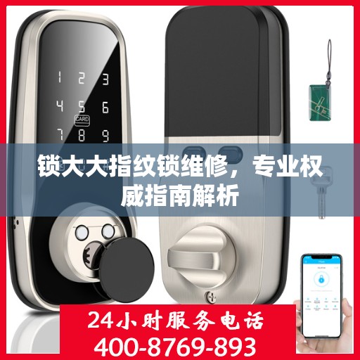 锁大大指纹锁维修，专业权威指南解析