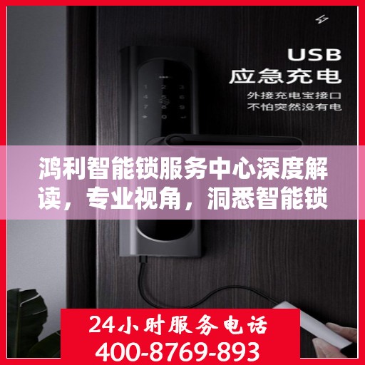 鸿利智能锁服务中心深度解读，专业视角，洞悉智能锁领域奥秘