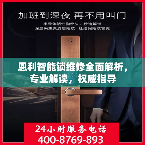 恩利智能锁维修全面解析，专业解读，权威指导