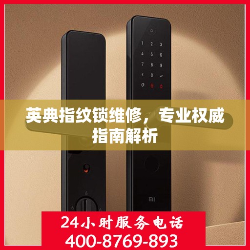 英典指纹锁维修，专业权威指南解析