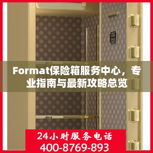 Format保险箱服务中心，专业指南与最新攻略总览