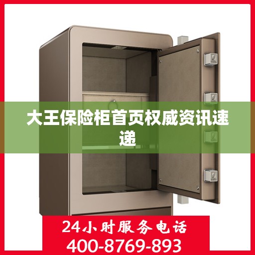 大王保险柜首页权威资讯速递