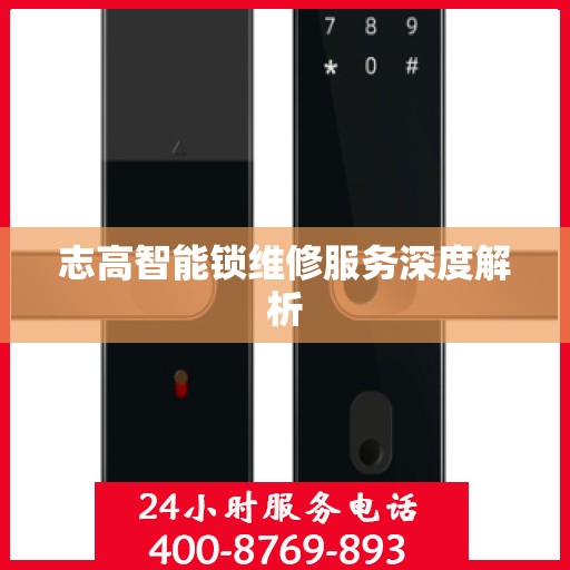 志高智能锁维修服务深度解析