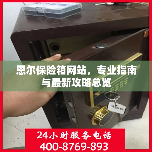 恩尔保险箱网站，专业指南与最新攻略总览